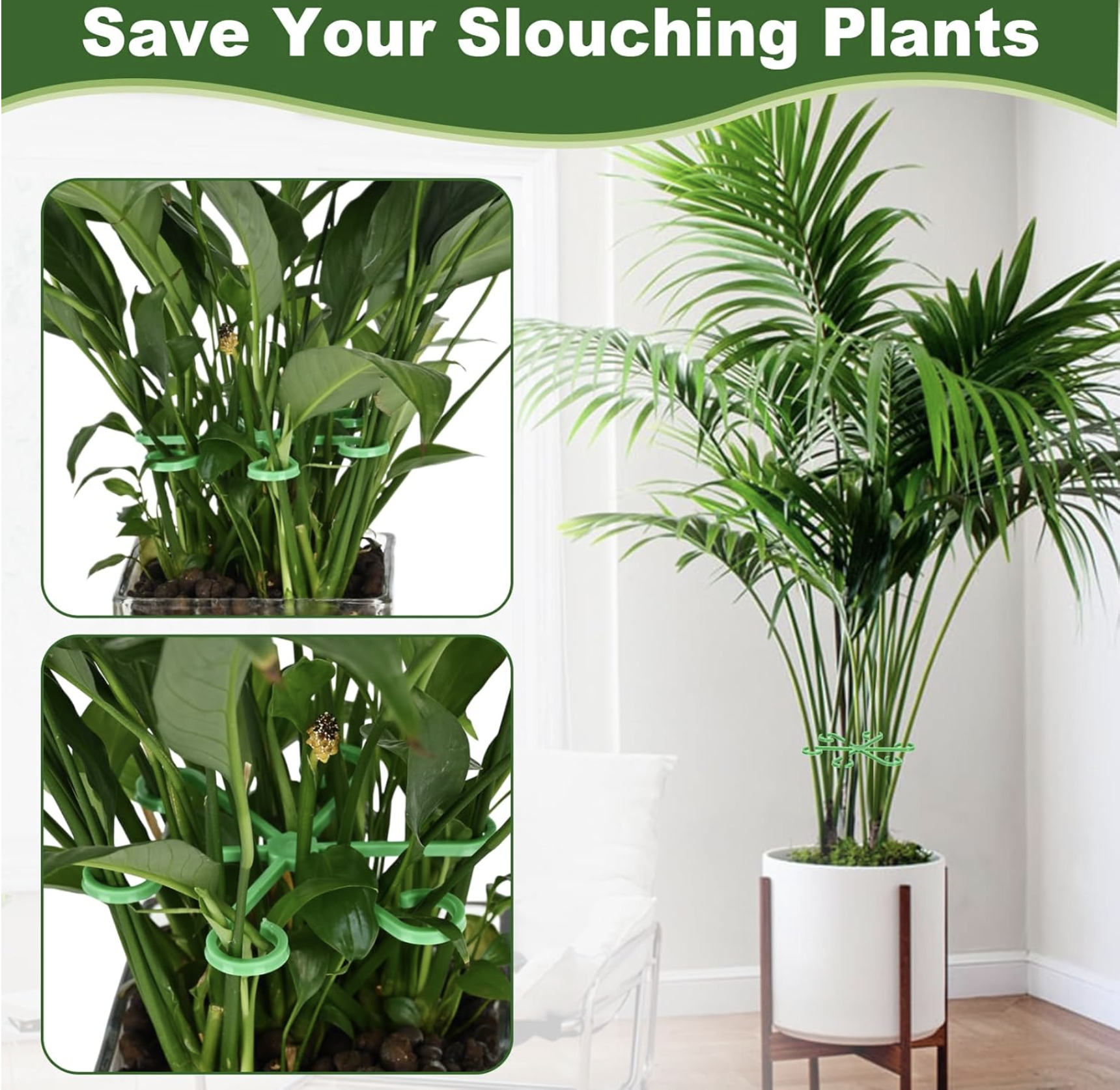 Virmoek Climbing Houseplant Support – Keep Your Indoor Plants Growing Strong!